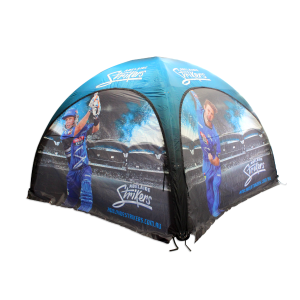 ID 4x4 -Adelaide Strikers-2 Back View 2 walls-600x600