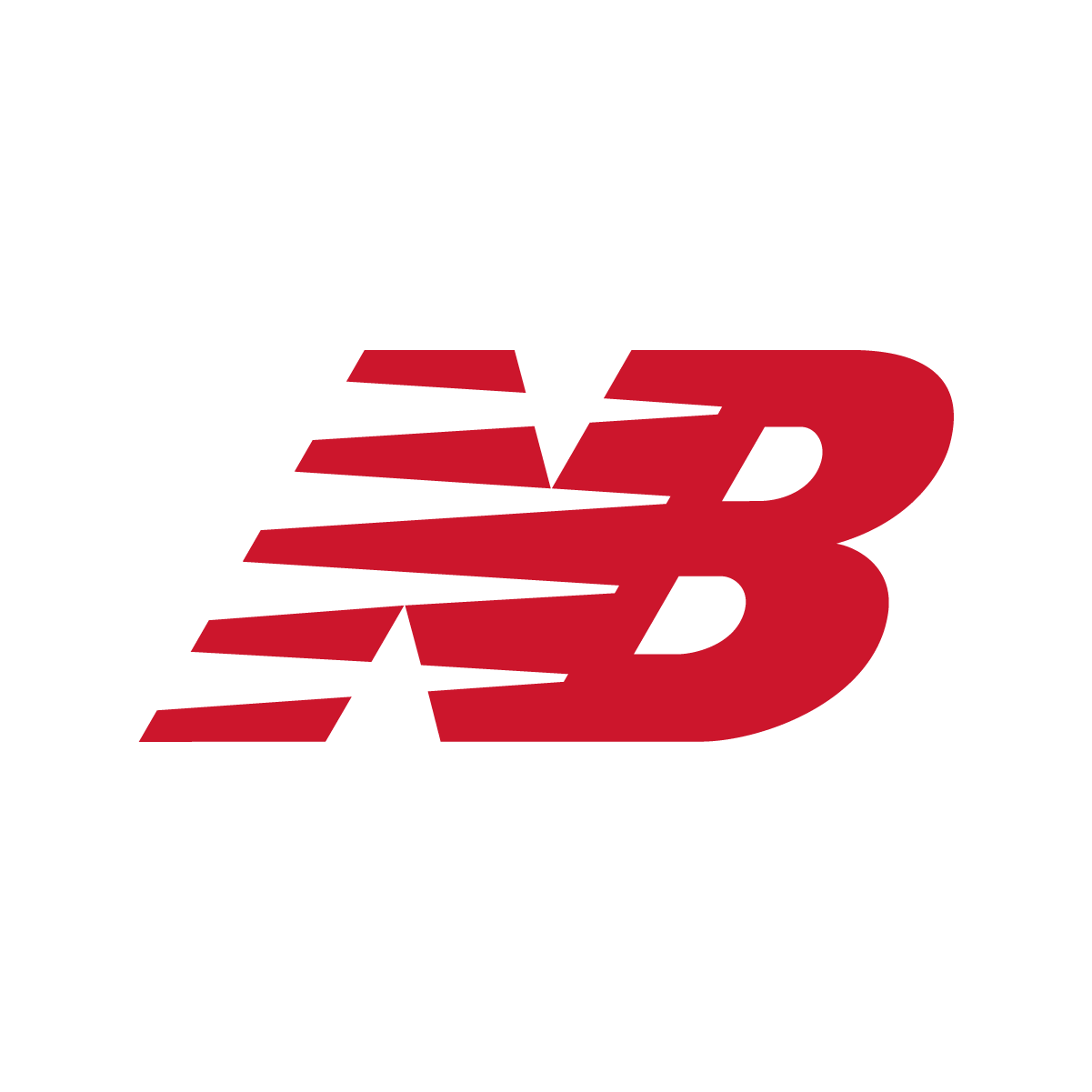 NB Logo