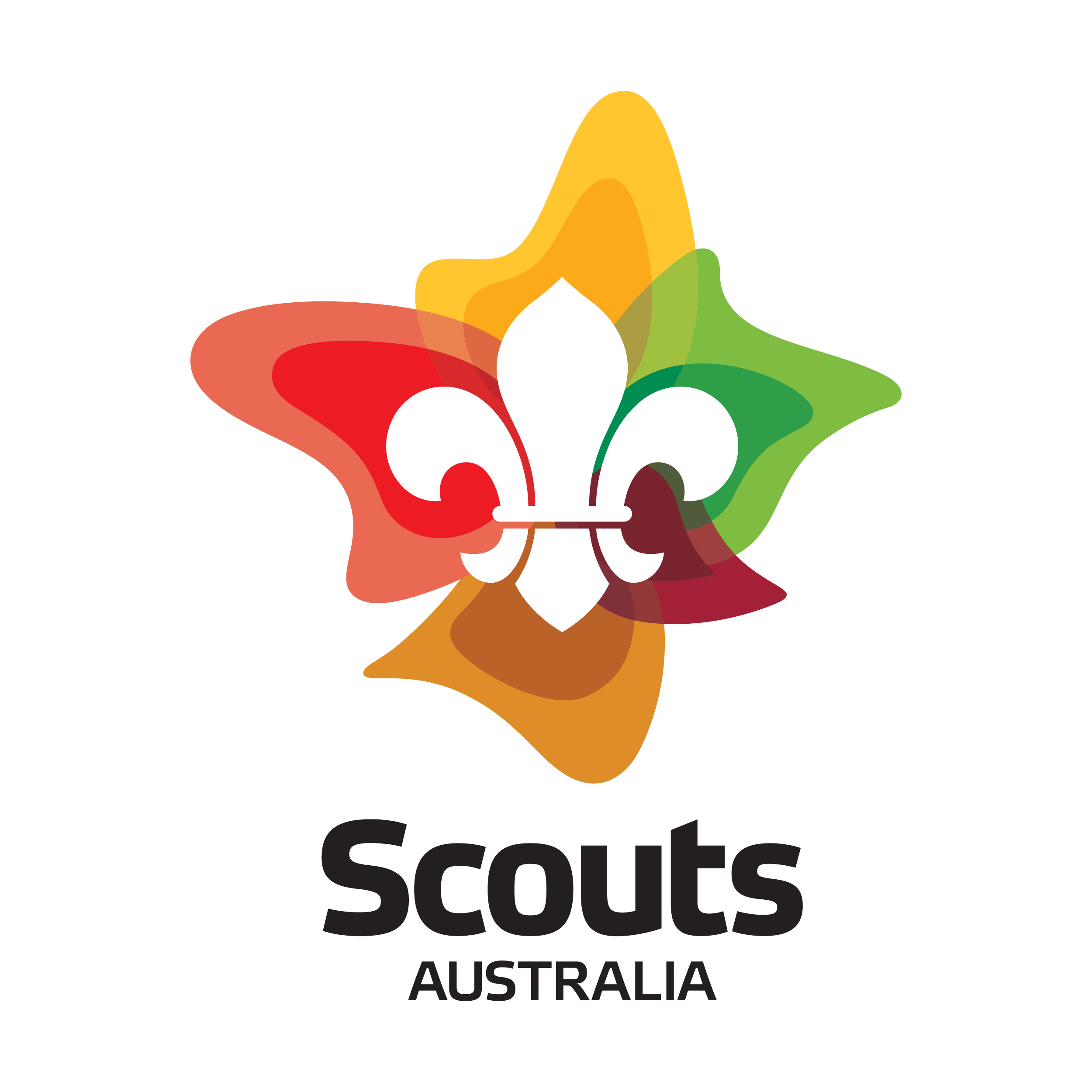 Scouts Logo